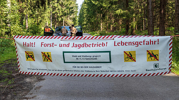 Bekämpfung der Borkenkäferplage in Sachsen 2020 © Bundeswehr / Andre Klimke