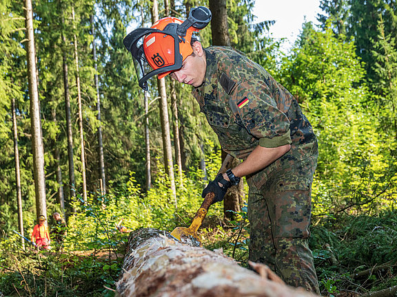 Ein Soldat schält die Rinde von einem vom Borkenkäfer befallenen Baum © Bundeswehr / Andre Klimke
