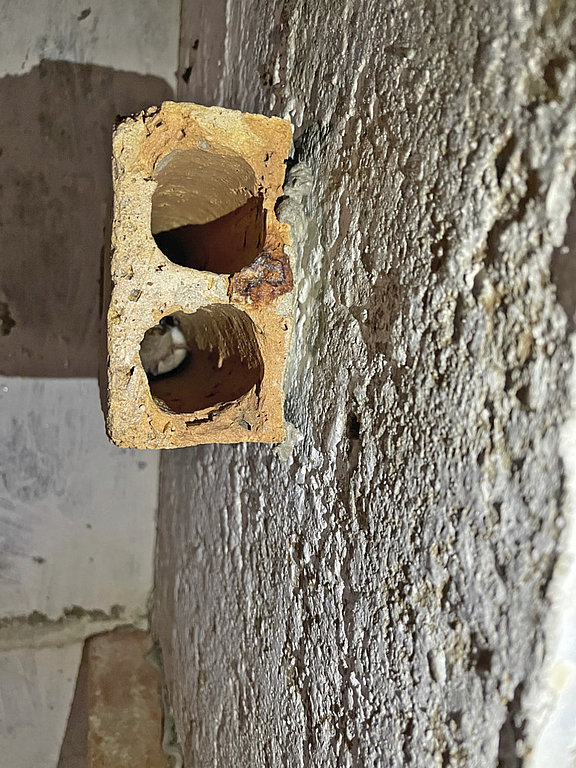 Quartier für Fledermäuse in einer alten Bunkeranlage © KS / Friederike Frücht